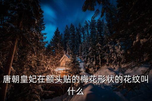 唐朝皇妃在額頭貼的梅花形狀的花紋叫什么