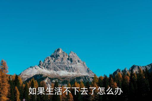 活不下去了,如果前夫不給贍養費那就讓法院判決!