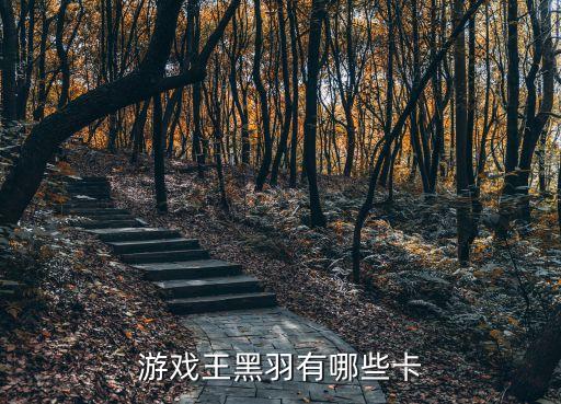 黑色旋風(fēng),游戲王黑羽:旋風(fēng)和神鳥攻擊讓對方無法發(fā)動