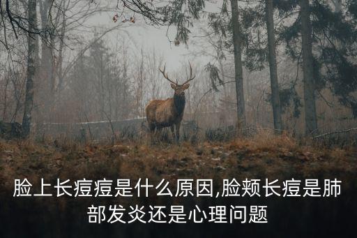 右邊臉上長痘痘是什么原因,臉頰長痘是肺部發炎還是心理問題?
