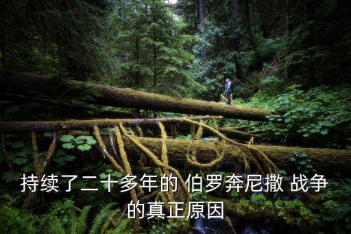 持續了二十多年的 伯羅奔尼撒 戰爭的真正原因