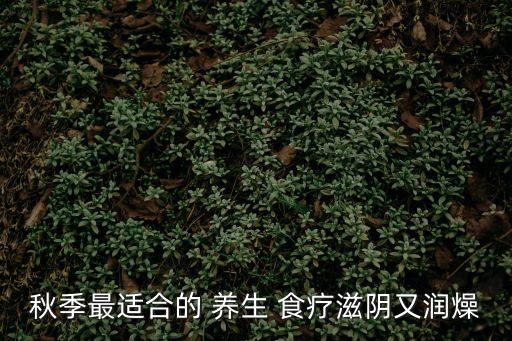 秋季最適合的 養生 食療滋陰又潤燥