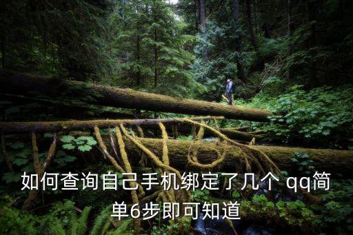 如何查詢自己手機綁定了幾個 qq簡單6步即可知道