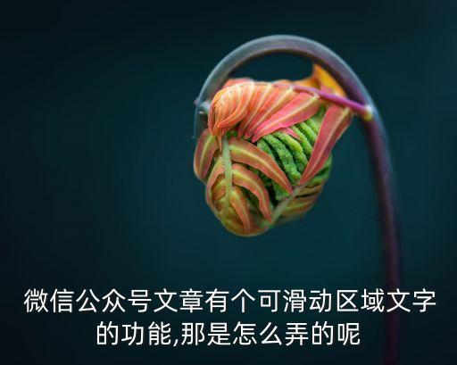 小螞蟻微信編輯器,小螞蟻微信編輯器哪個好?