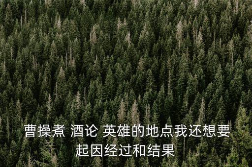 曹操煮酒論英雄,第二十一回