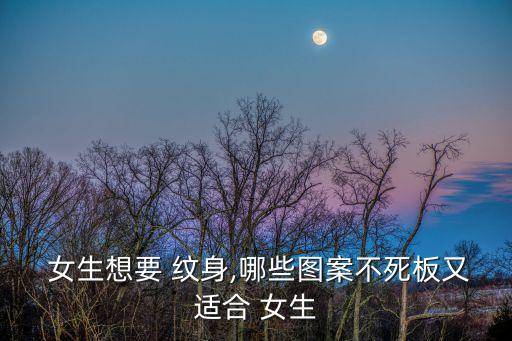 適合女生的紋身,第三種圖案紋身比較適合女性夢幻感覺