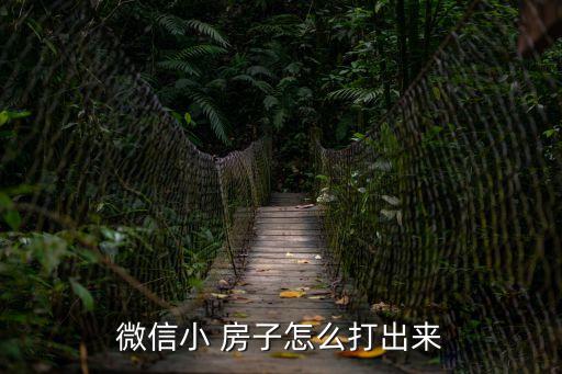 微信小 房子怎么打出來
