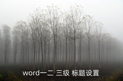 word一二 三級 標題設置