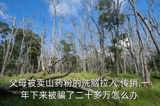 傳銷案例,直銷傳銷難道不能成功嗎?