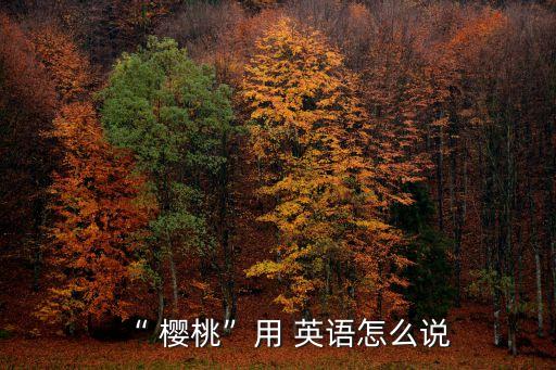 “ 櫻桃”用 英語怎么說