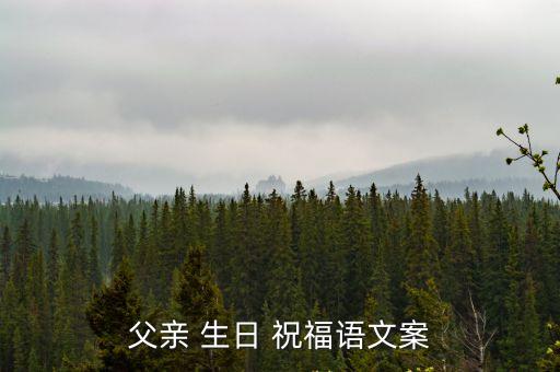 父親 生日 祝福語文案