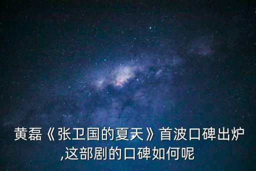  黃磊《張衛國的夏天》首波口碑出爐,這部劇的口碑如何呢