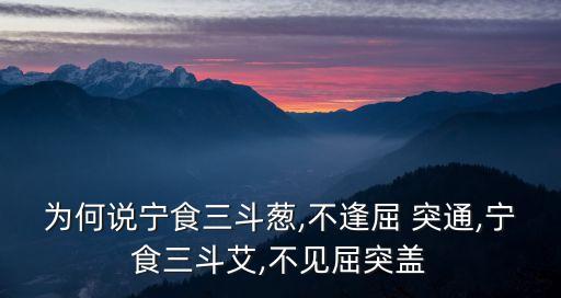 為何說寧食三斗蔥,不逢屈 突通,寧食三斗艾,不見屈突蓋