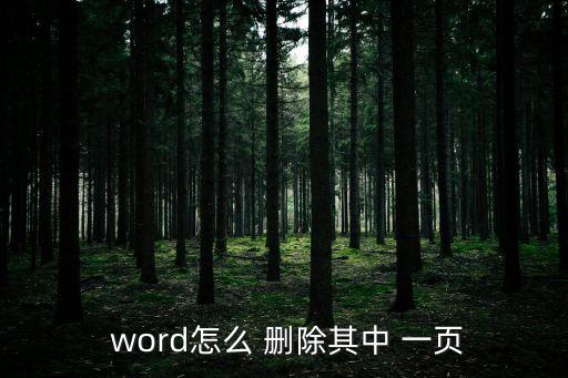  word怎么 刪除其中 一頁