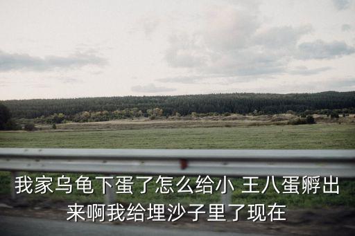 小王八蛋,上海話小赤佬是什么意思?
