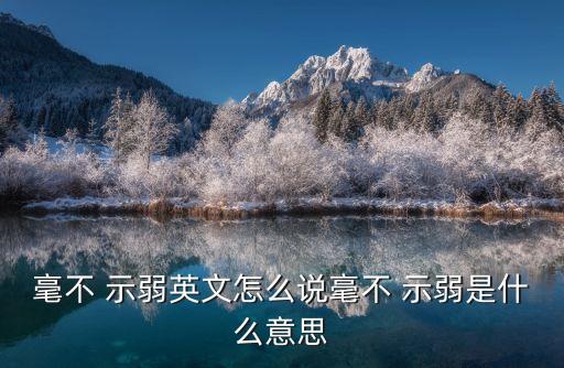 毫不示弱的意思,走美英adj吸引人；觸手可及