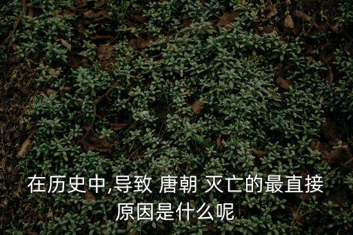 在歷史中,導(dǎo)致 唐朝 滅亡的最直接原因是什么呢