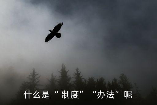 什么是“ 制度”“辦法”呢