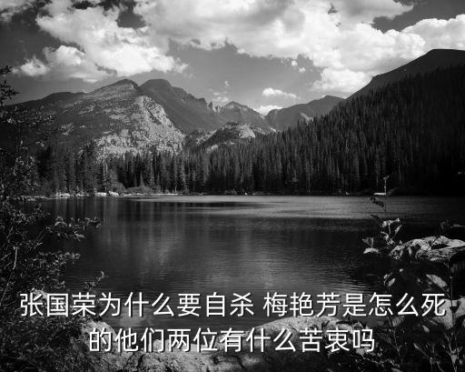 梅艷芳死因,一文看懂!梅艷芳死因?