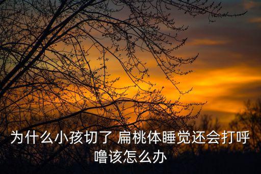 腭扁桃體,急慢性扁桃體炎就是這對孿生兄弟