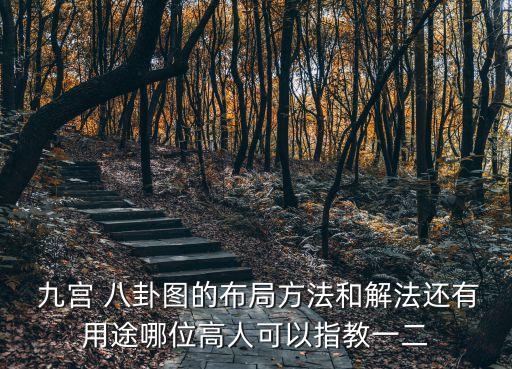  九宮 八卦圖的布局方法和解法還有用途哪位高人可以指教一二