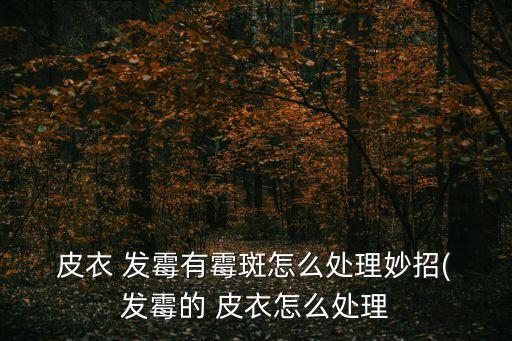  皮衣 發霉有霉斑怎么處理妙招( 發霉的 皮衣怎么處理