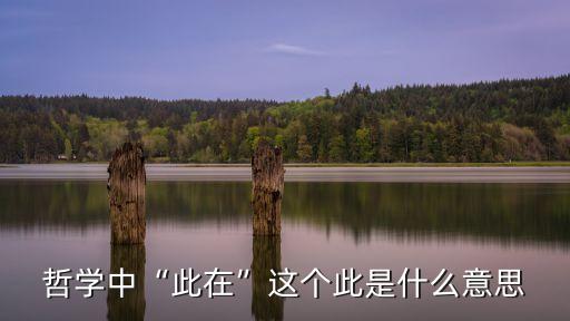 dasein,海德格爾用ofsein翻譯英文單詞the