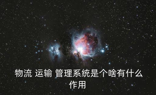  物流 運輸 管理系統是個啥有什么作用