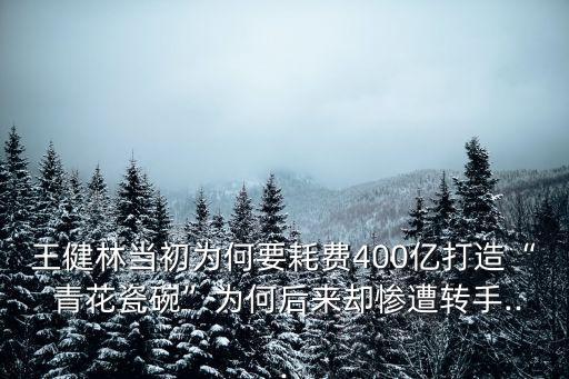 王健林當初為何要耗費400億打造“ 青花瓷碗”為何后來卻慘遭轉手...