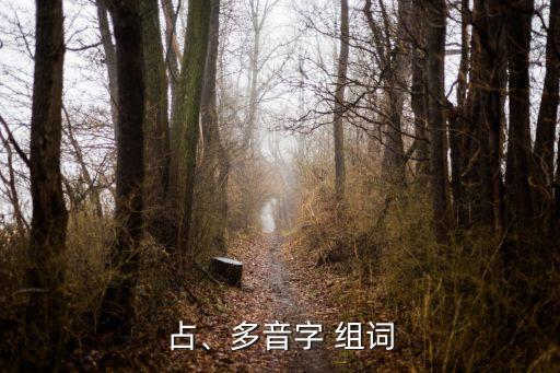 占、多音字 組詞