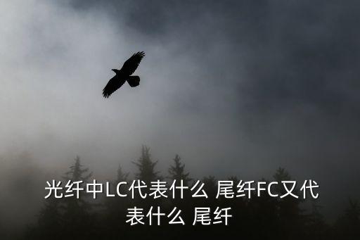 光纖尾纖,光纖尾纖怎么做?