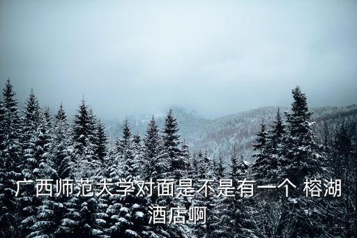 廣西師范大學對面是不是有一個 榕湖酒店啊