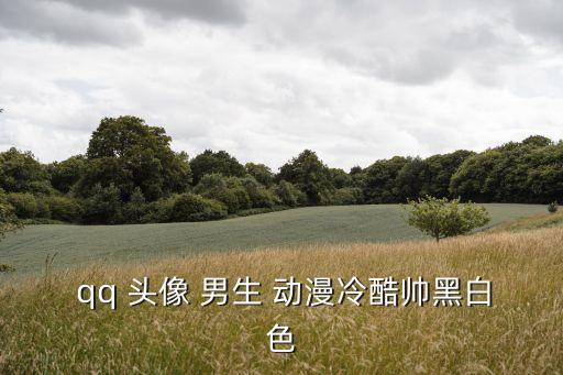 qq頭像動漫男生,更多情侶頭像出爐!男生動漫冷酷帥黑白色超萌