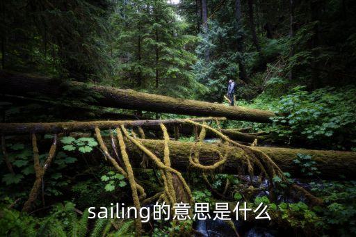 sail是什么意思,堅毅向前預警