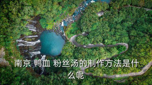 南京鴨血粉絲湯,南京鴨血粉絲湯軟糯度鴨血排骨湯最后一排