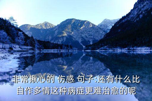 非常揪心的 傷感 句子:還有什么比自作多情這種病癥更難治愈的呢