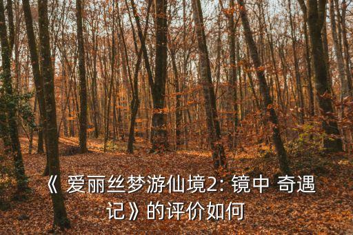 《 愛麗絲夢游仙境2: 鏡中 奇遇記》的評價如何