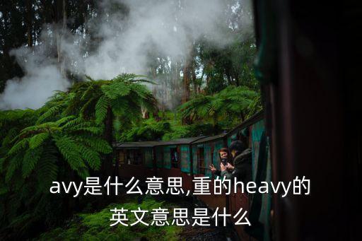 heavy是什么意思,重的heavy的英文意思是什么?