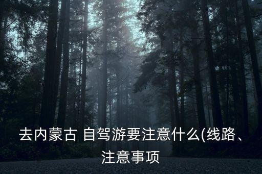 自駕旅游網,自駕car旅游的定義有何變化?