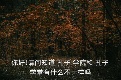孔子學院,日本有孔子學院嗎?沒有!