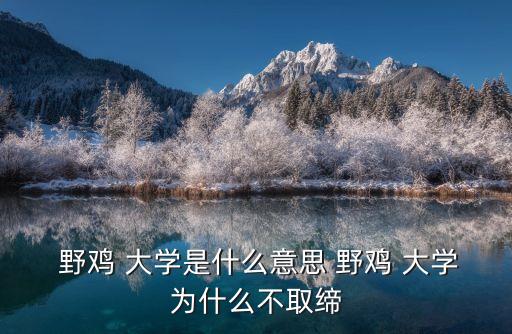  野雞 大學(xué)是什么意思 野雞 大學(xué)為什么不取締