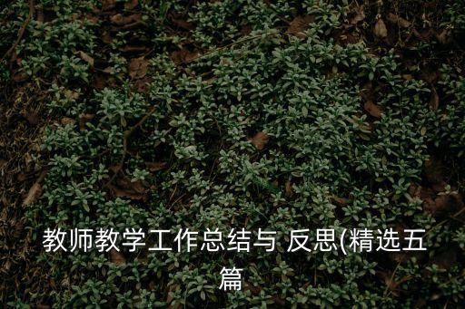  教師教學工作總結與 反思(精選五篇