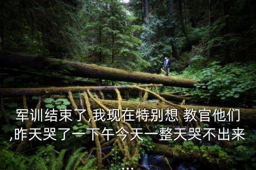 教官我再也不敢了,選擇留下來的理由