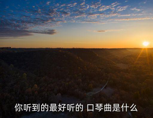 你聽(tīng)到的最好聽(tīng)的 口琴曲是什么