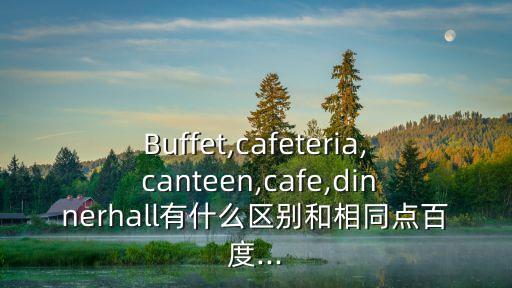 Buffet,cafeteria, canteen,cafe,dinnerhall有什么區別和相同點百度...