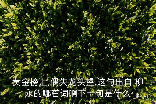 黃金榜上,偶失龍頭望.這句出自 柳永的哪首詞啊下一句是什么