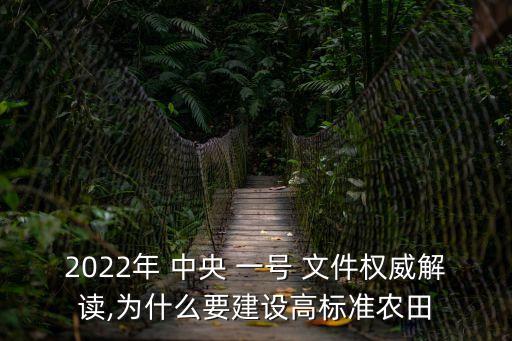 2022年 中央 一號(hào) 文件權(quán)威解讀,為什么要建設(shè)高標(biāo)準(zhǔn)農(nóng)田