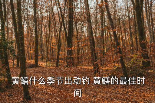  黃鱔什么季節出動釣 黃鱔的最佳時間