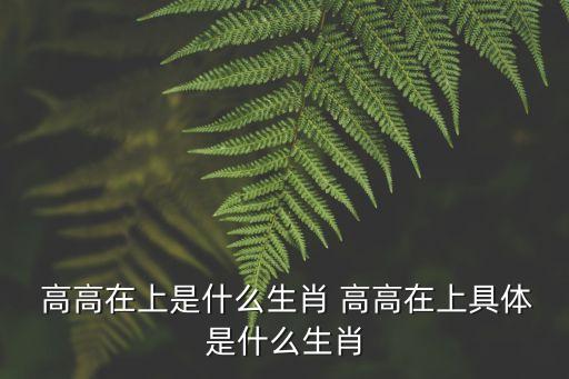 高高在上,高高在上什么是生肖?