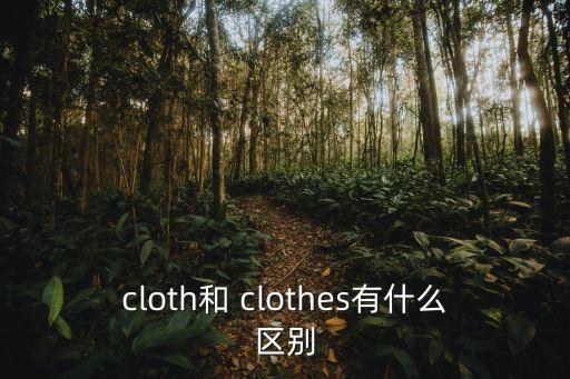 cloth和 clothes有什么區別